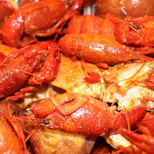 Crawfish crab