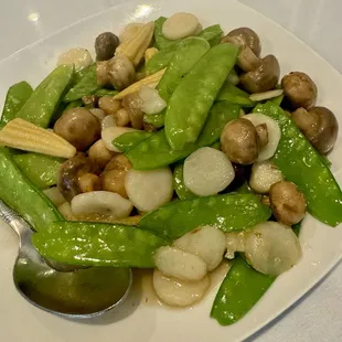 7-27-24 Snow pea mushroom