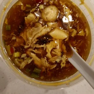 Hot and Sour Soup