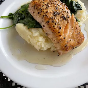 Salmon