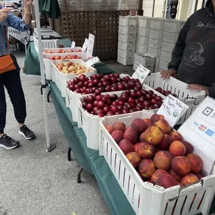 Some great looking Apricots, Peaches, Plums and more
