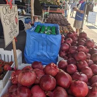 Their offerings, 10/6/20, shelter in place