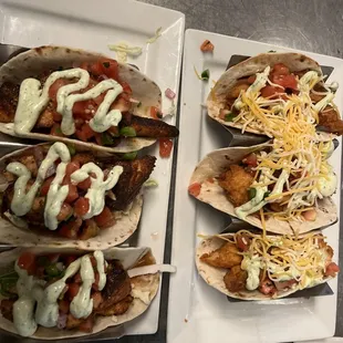 Chicken and blacken salmon tacos