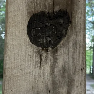 Burn marks in the post from "6-7 years ago"