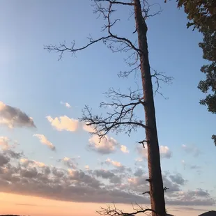 Summer view from one of the trails