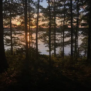 Summer view from one of the trails