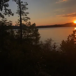 Summer view from one of the trails