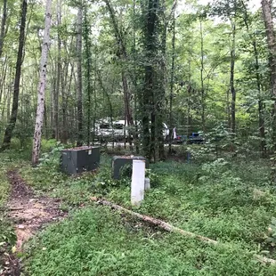 Summer view from one of the trails