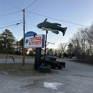 The fantasy catfish