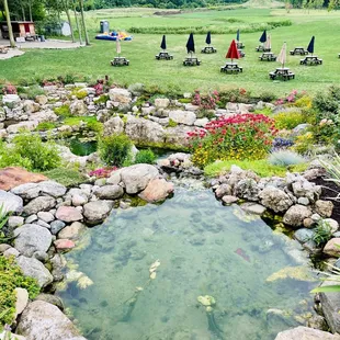a pond surrounded by rocks and flowers
