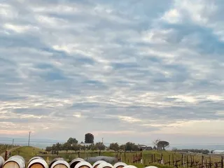 Eagle Ridge Vineyard