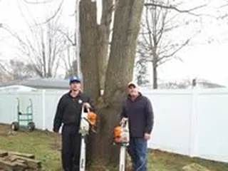 Arborist Care Tree Service