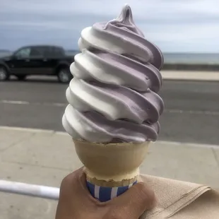Blueberry and Cheesecake swirl softserve! Delish!