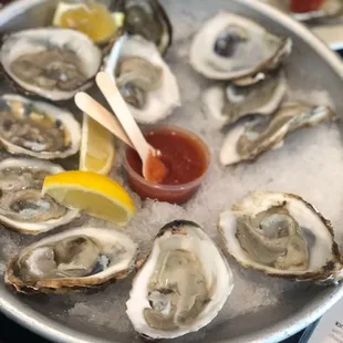 One dozen Raw Oysters