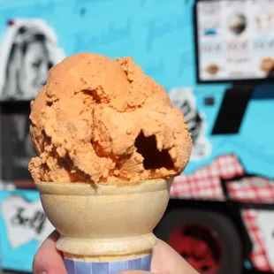 Pumpkin Spice Ice Cream