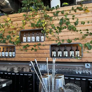 shelves of gin and tonic bottles