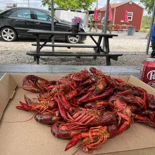 a box of crawfish