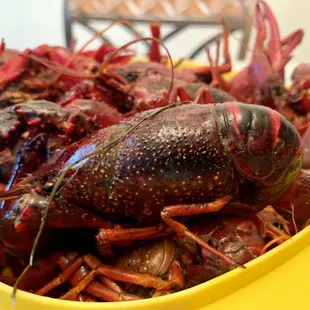Freshly Cajun boiled crawfish.