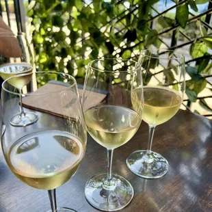 White Wine Flight