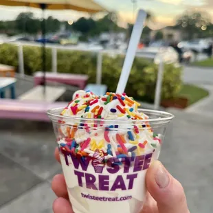 Vanilla ice cream with rainbow sprinkles