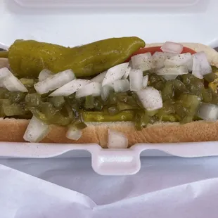 Chicago Hot dog