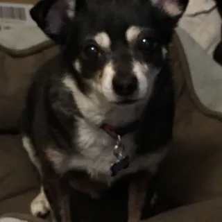 Mindy S.