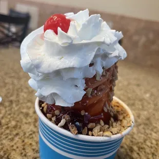 Small Dole Sundae with cherry sauce.