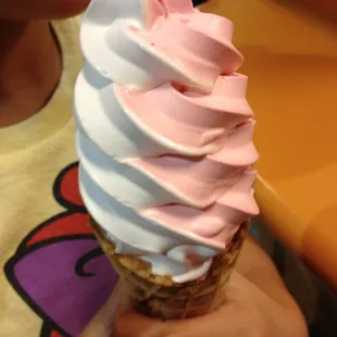 Kiddie cone