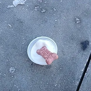 Pup cup
