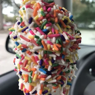 Ice Cream doesn&apos;t stay frozen for long in Florida