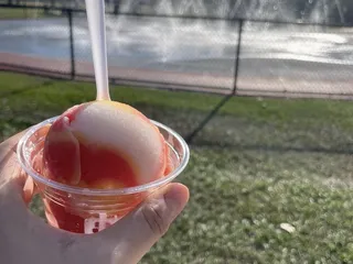Mike's Italian Ice