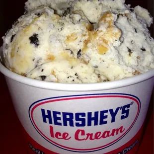 Oatmeal Cookie  ice cream