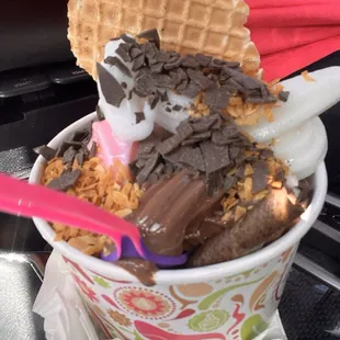 FroYo Bowl