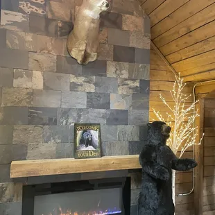 Really nice interior (cabin vibes)