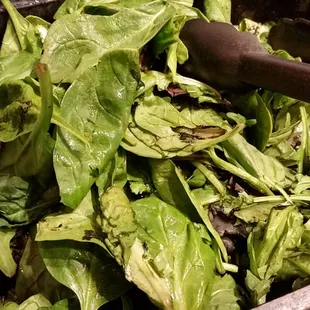 Rotten spring mix. Maybe 8-9 good pieces in the whole bin.