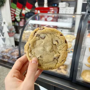 Chocolate chip cookie