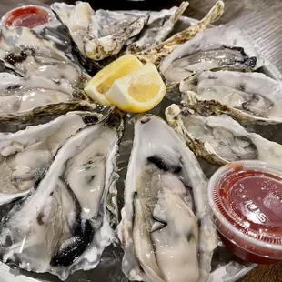 Fresh oysters