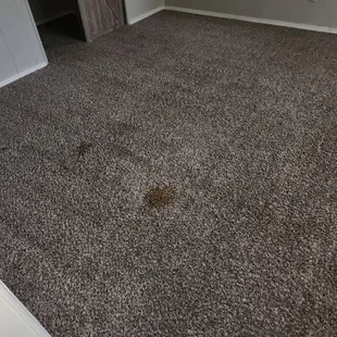 Had to spend additional money to get rental ready with new company