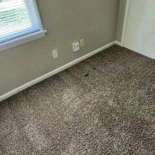 How they tried to rent my place out