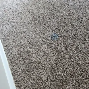 Was never told about the stains