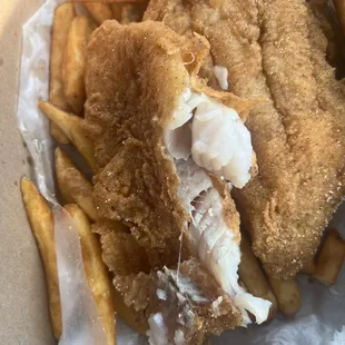 Catfish fillets