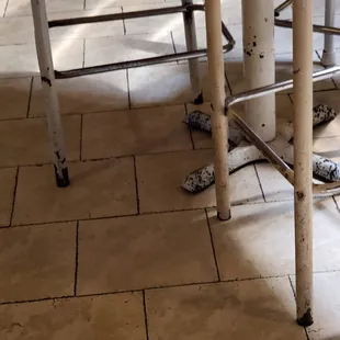 Perhaps it's time for new furniture?