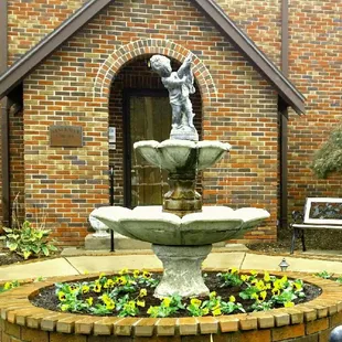 Spring or Fall Flowers