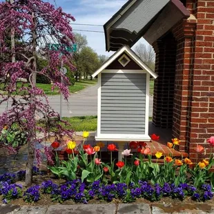 tulips and other flowers in front of a house