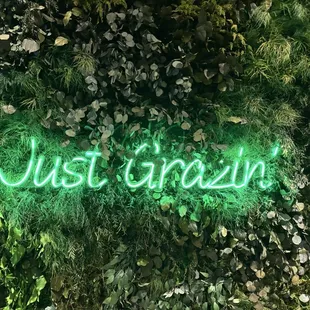 soups and chowder, interior