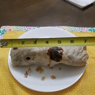 Carne Asada Burrito