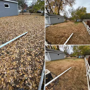 Fall leaf cleaning, leaf blown and hauled away.