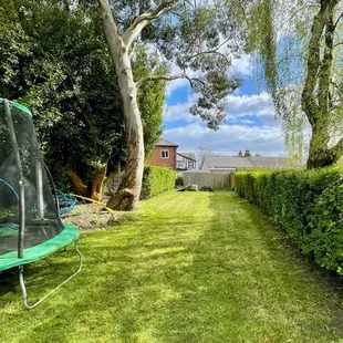 My backyard after services from two pines