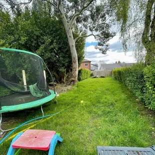 My backyard before services from two pines