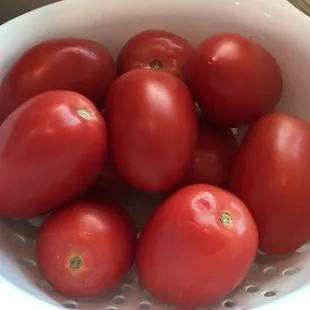 Everything is fresh